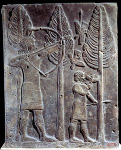 Vogeljagdszene (Relief aus Alabaster aus dem Palast von Sargon II., König von Assyrien, Khorsabad, Mesopotamien) von Mesopotamian Mesopotamian