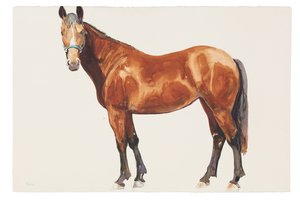 Ohne Titel, 2018 von Michael Frith