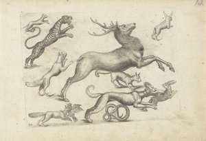 Studienblatt mit Zeichenbeispielen: verschiedene Tiere von Michael Snijders (attributed to)