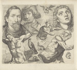 Studienblatt mit Zeichenbeispielen: Köpfe, Torso und Tiere