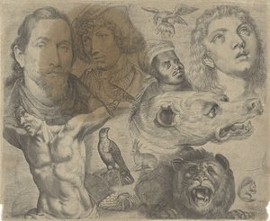 Studienblatt mit Zeichenbeispielen: Köpfe, Torso und Tiere von Michael Snijders