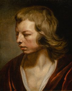 Studie eines Jungen von Michaelina Wautier