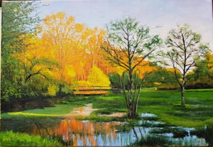 Überflutetes Feld in Gironde