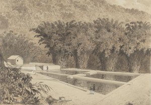 Das Reservoir in Maraval von Michel Jean Cazabon