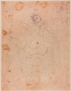 Figurenstudien, teilweise aus der Vertreibung aus dem Paradies in der Sixtinischen Kapelle von Michelangelo (after) Buonarroti
