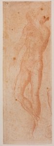 Studien von männlichen Akten von Michelangelo (after) Buonarroti