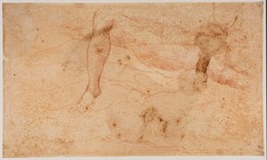 Studien von Aktfiguren von Michelangelo (after) Buonarroti