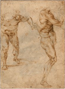 Zwei Aktstudien eines Mannes, der vorwärts stürmt, und ein anderer, der sich nach rechts dreht von Michelangelo