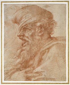Kopf eines bärtigen Mannes, der schreit, um 1525 von Michelangelo Buonarroti