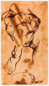 Beinstudie für das Kind im Doni Tondo von Michelangelo Buonarroti