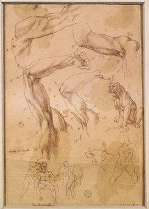 Ms H 184 fol.202 Studien von erhobenen Armen, einer Wildkatze und einer Gruppe von Figuren von Michelangelo Buonarroti