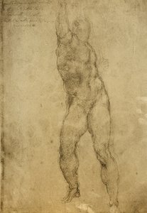 Aktstudie, Zeichnung von Michelangelo. Gallerie dell