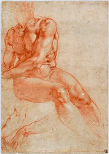 Sitzender junger männlicher Akt und zwei Armstudien, ca. 1510-1511