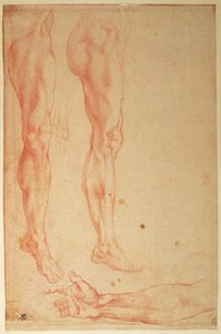 Studien von Beinen und Armen von Michelangelo Buonarroti