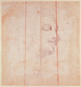 Studie für den Kopf der Libyschen Sibylle (Schwarze Kreide auf Papier) (verso)