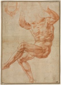 Studie für den nackten Jüngling über dem Propheten Daniel, 1510-1511 von Michelangelo Buonarroti