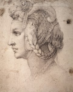Studie eines Kopfes von Michelangelo Buonarroti