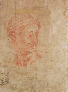Studie eines Kopfes von Michelangelo Buonarroti