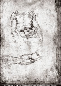 Studie eines männlichen Torsos und Arms von Michelangelo Buonarroti