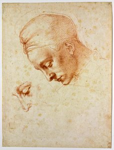 Studie zum Kopf der Leda
