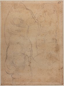 Zwei Studien einer antiken Venus von Michelangelo Buonarroti