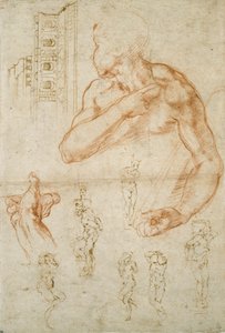 Verschiedene Studien für die Sixtinische Decke und das Grab von Papst Julius II., ca. 1490-1560 von Michelangelo Buonarroti