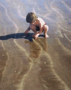 Auf der Suche nach Muscheln