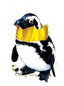 Weihnachtspinguin auf Weiß, 2020