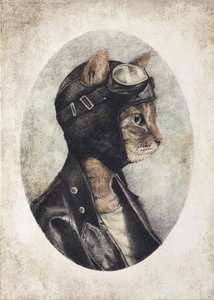 Stilvolle Katze mit Lederjacke