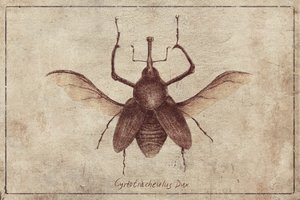 Vintage Stil und Sepia Töne