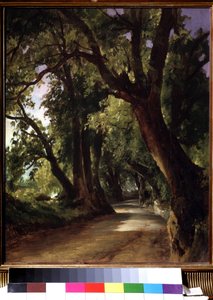 Blick auf Albano bei Rom von Mikhail Ivanovich Lebedev