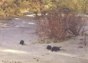 Schatten auf dem Schnee von Mildred Anne Butler