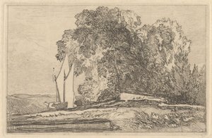 Studie von Bäumen am Ufer der Yare von Miles Edmund Cotman
