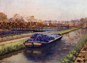 Eine Bootsladung Duft