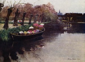 Hyazinthenblumen auf dem Weg zum Markt