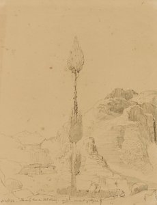 Eiche auf dem Berg Sinai