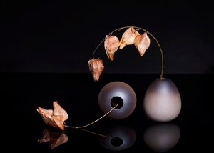  von Ming Chen