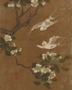 Zehn Bilder von Vögeln und Blumen
