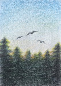 Gelassener Waldflug von Mirjam Schrei