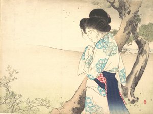 Die verrückte Frau von Yawata Yawata no kyojo, Frontispiz eines Romans von Mizuno Toshikata