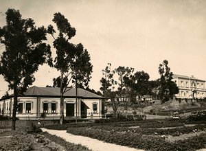 Kreis von Beamten in Asmara, 09/05/1936 von Modestino Baldinetti