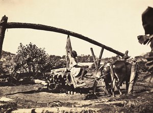 Bau eines Imperiums im faschistischen Zeitalter: indigene Noria, 09/05/1936 von Modestino Baldinetti