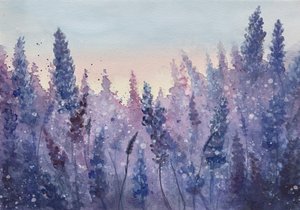 Lavendel Sonnenuntergangsglanz
