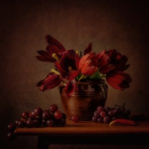 Stimmungsvolle Tulpen und Trauben