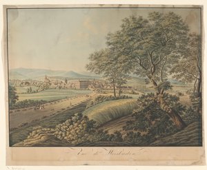 Ansicht von Wiesbaden