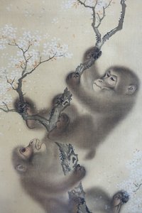 Affen in einem blühenden Kirschbaum, 1 von 2, Mori Sosen, Japan, Edo-Periode, frühes 19. Jahrhundert, Tinte und Farbe auf Seide - Arthur M. Sackler Museum, Harvard University von Mori Sosen
