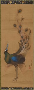 Pfau von Mori Sosen