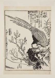 Fasan und Magnolie von Morikuna Morikuna