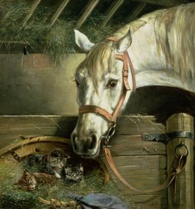 Pferd und Kätzchen, 1890 von Moritz Muller