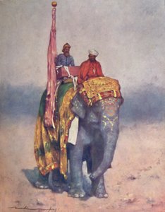 Ein Elefant aus den Sandwüsten von Rajputana, 1903 von Mortimer L Menpes